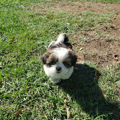 Pet Supply Store «Unleashed by Petco», reviews and photos, 2650 5th St b, Alameda, CA 94501, USA