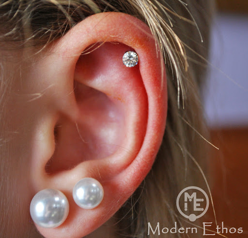 Explore sand dollar tattoo ideas, creative tattoo ideas in New Cumberland, available at Modern Ethos Piercing