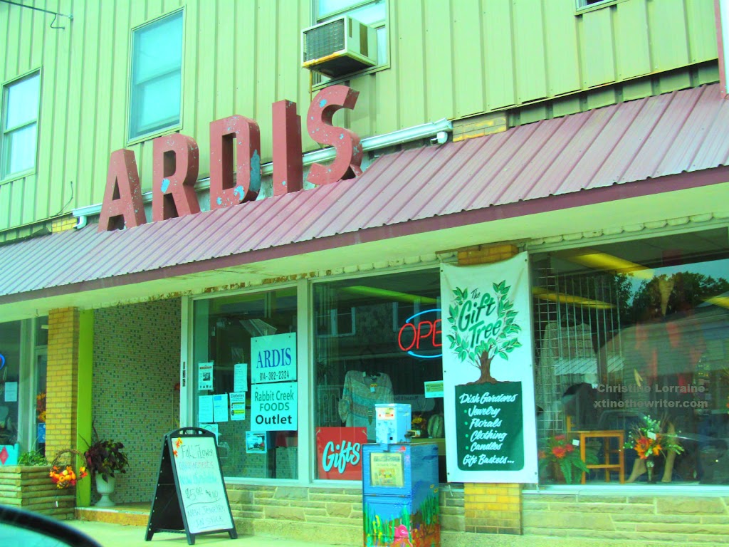 Ardis Dress & Beauty Shop 16316