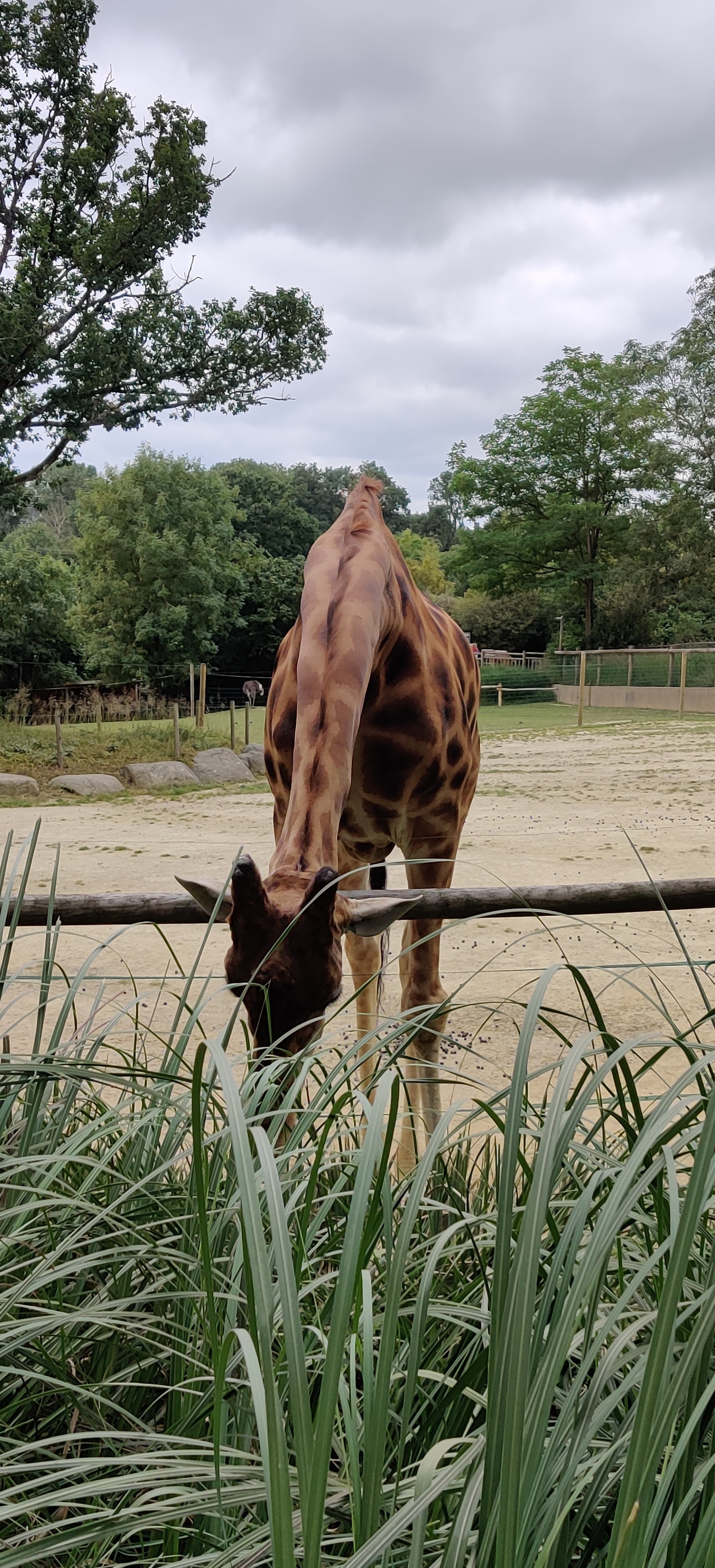 Photo n° 12 de l'avis de Maxime.o fait le 17/07/2019 à 19:11