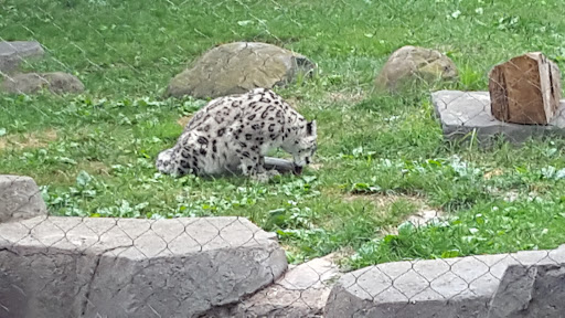 Zoo «Fragile Desert», reviews and photos, 3300 Golf Rd, Brookfield, IL 60513, USA