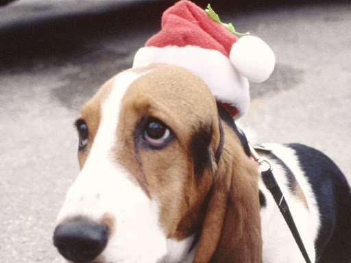 Sign Shop «Signal Graphics Printing», reviews and photos, 3529 Washington Rd, McMurray, PA 15317, USA