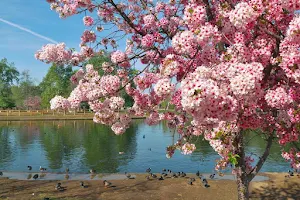 Lake Balboa/Anthony C. Beilenson Park image