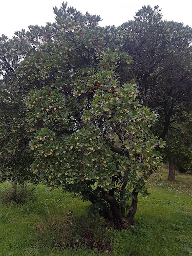 Domaine de la Mazetière à Nîmes