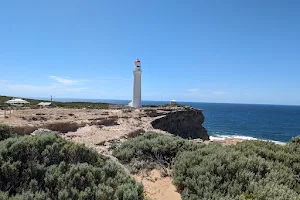 Cape Nelson State Park image