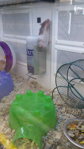 Pet Supply Store «Pet Supplies Plus», reviews and photos, 2500 S Main St, Rice Lake, WI 54868, USA