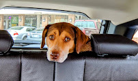 Sloppy Dog Wash - Photo 1 - Car repair in Tulsa, OK, Broken Arrow