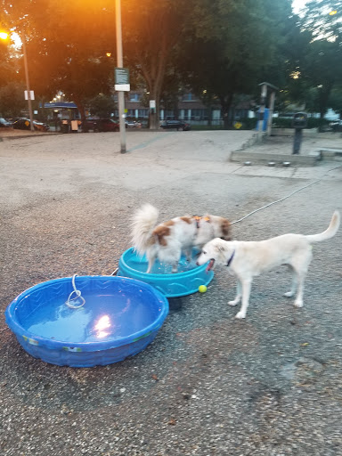 Dog Park «Wiggly Field Dog Friendly Area», reviews and photos, 2645 N Sheffield Ave, Chicago, IL 60614, USA