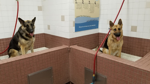 Pet Supply Store «Pet Food Express», reviews and photos, 39010 Paseo Padre Pkwy, Fremont, CA 94538, USA