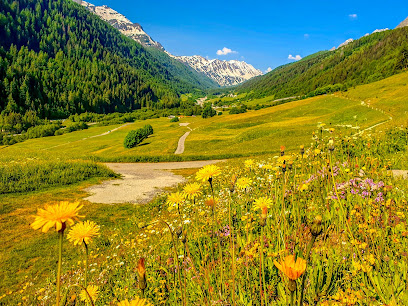 Val Bedretto