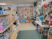 Dog Daze Pet Shop - Photo 8 - Car repair in North Syracuse, NY, Syracuse