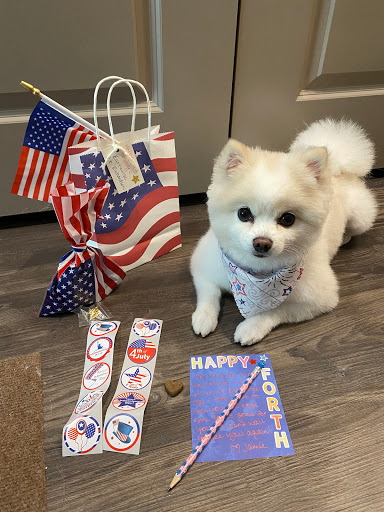 Pet Supply Store «EarthWise Pet Supply - Richardson», reviews and photos, 1310 W Campbell Rd #128, Richardson, TX 75080, USA