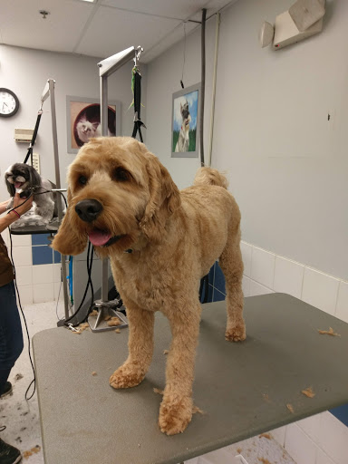 Pet Supply Store «Petco Animal Supplies», reviews and photos, 4012 W 27th Ave, Kennewick, WA 99337, USA