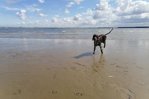 Strandje Stellendam image