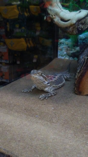 Pet Supply Store «PetSmart», reviews and photos, 400 Mill Creek Dr, Secaucus, NJ 07094, USA