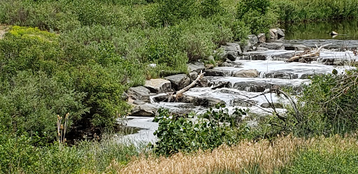 Nature Preserve «Bluff Lake Nature Center», reviews and photos, 3400 Havana Way, Denver, CO 80238, USA