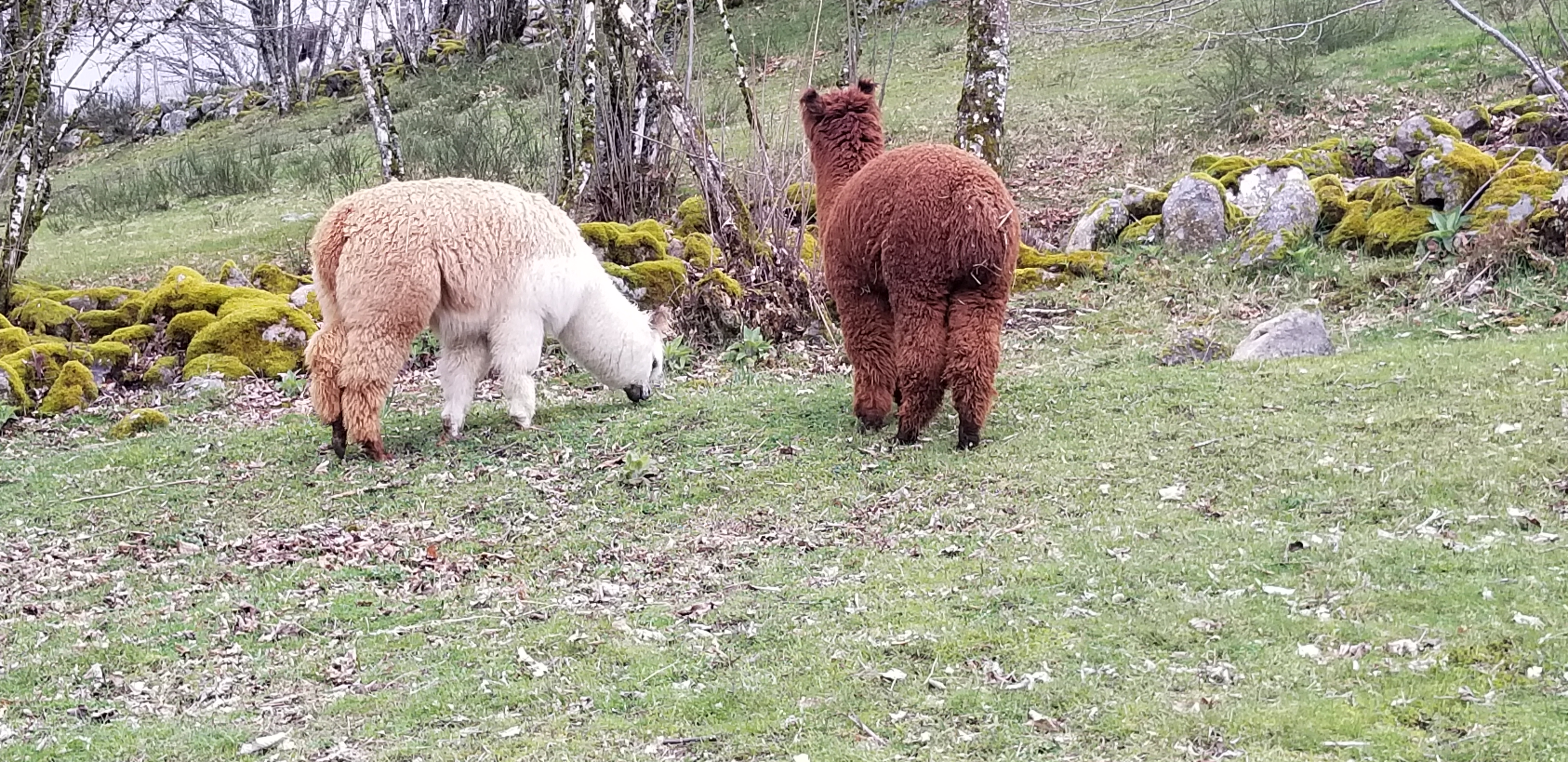 Photo n° 3 de l'avis de Laurent. fait le 26/04/2023 à 18:11
