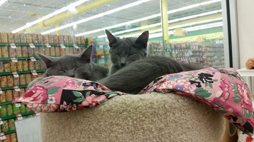 Pet Supply Store «Pet Supplies Plus», reviews and photos, 311 Sagamore Pkwy N, Lafayette, IN 47904, USA
