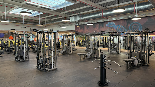 Dreamfit Móstoles en Móstoles, Madrid