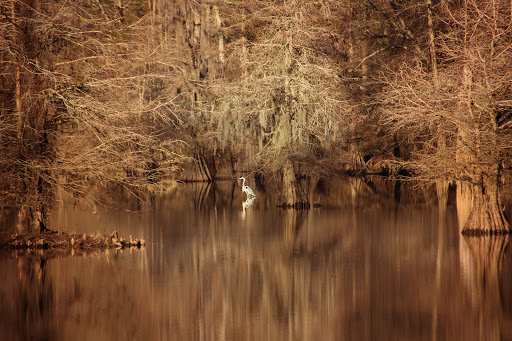 Park «Leake County Water Park», reviews and photos, 1190 Park Rd, Lena, MS 39094, USA