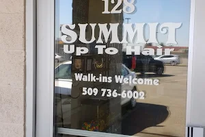 Summit Up To Hair image