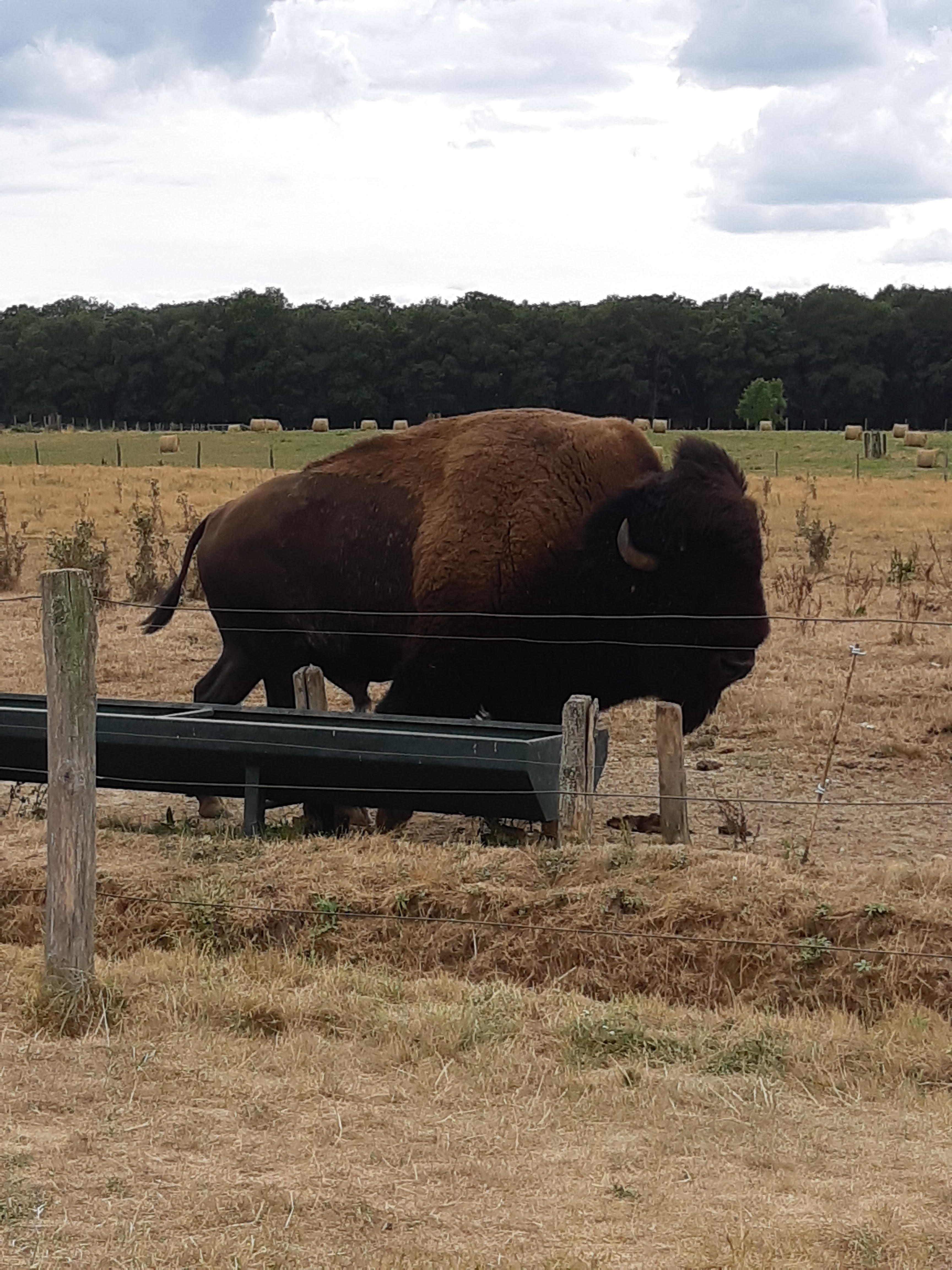 Photo n° 43 de l'avis de Carla.a fait le 10/08/2018 à 15:54