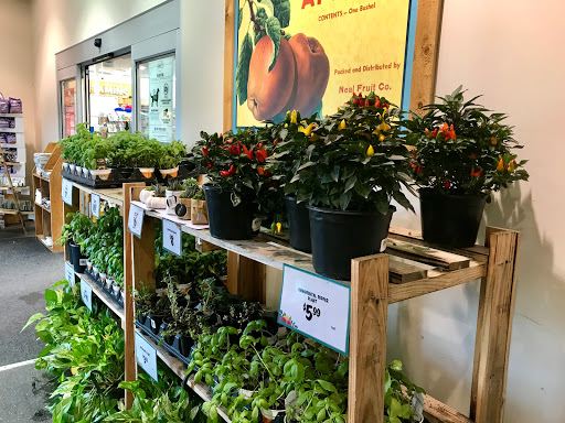 Health Food Store «Sprouts Farmers Market», reviews and photos, 110 W Sandy Lake Rd, Coppell, TX 75019, USA