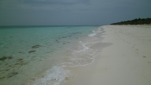 SCUBA Instructor «DFW Scuba Shop, Inc», reviews and photos, 5200 Airport Fwy Ste G, Haltom City, TX 76117, USA