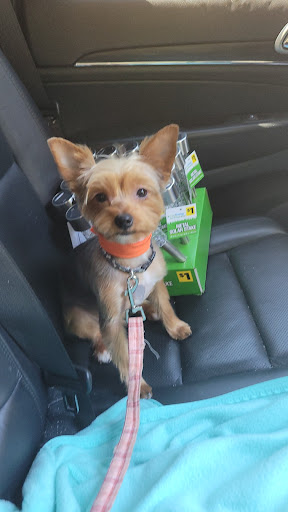 Pet Groomer «The Fetch House», reviews and photos, 130 W Washington St, Madison, GA 30650, USA