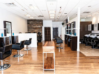 Anthony David Salon