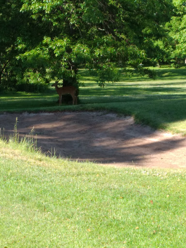 Golf Course «Christopher Morley Park Golf», reviews and photos, 500 Searingtown Rd, Roslyn, NY 11576, USA