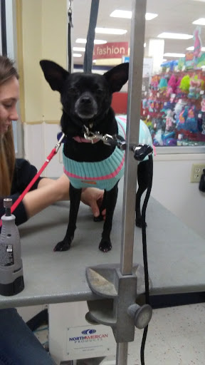 Pet Supply Store «Petco Animal Supplies», reviews and photos, 1951 N Military Trl c, West Palm Beach, FL 33409, USA