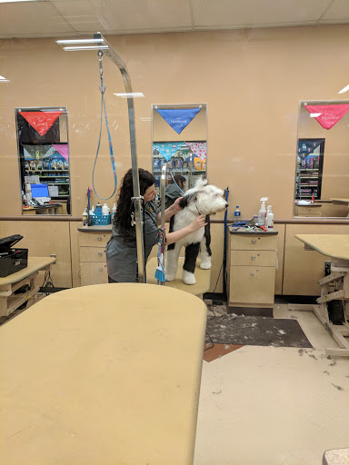 Pet Supply Store «PetSmart», reviews and photos, 144 Retail Commons Pkwy, Martinsburg, WV 25403, USA