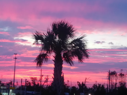 Home Goods Store «Dollar General», reviews and photos, 7436 FL-22, Callaway, FL 32404, USA