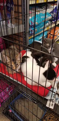 Pet Supply Store «PetSmart», reviews and photos, 5521 Mirage St, Yorba Linda, CA 92887, USA