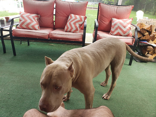 Pet Supply Store «Petco Animal Supplies», reviews and photos, 1400f 75th St, Downers Grove, IL 60516, USA