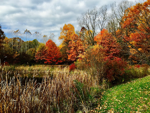 Nature Preserve «Captain Daniel Wright Woods Forest Preserve», reviews and photos, 24830 N St Marys Rd, Mettawa, IL 60045, USA