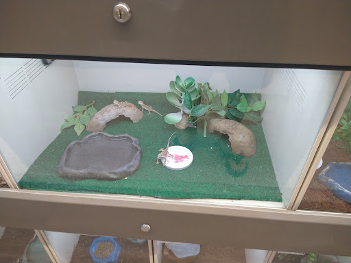 Pet Supply Store «Pet Supplies Plus», reviews and photos, 211 Golden Isles Plaza, Brunswick, GA 31520, USA