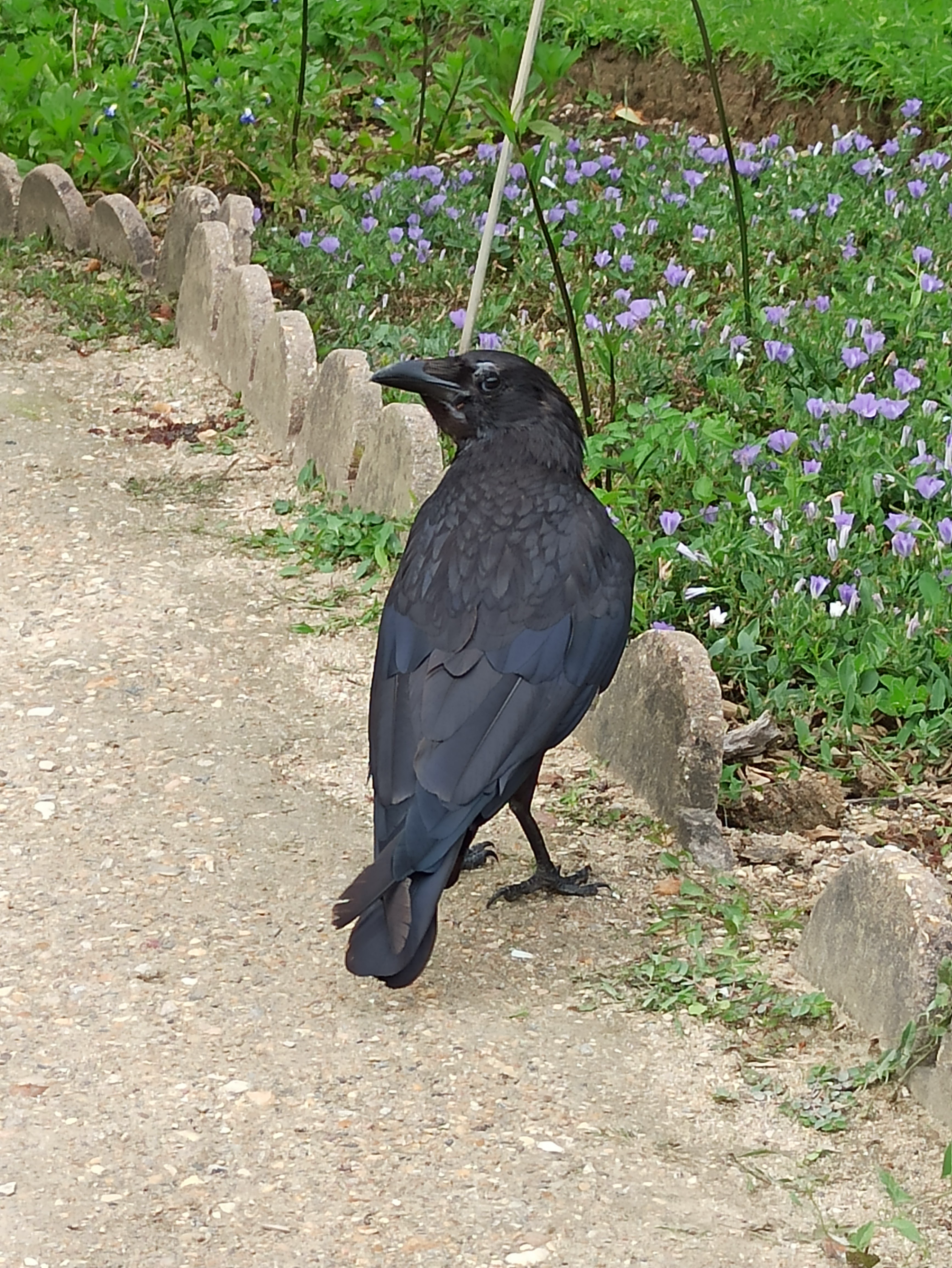 Photo n° 1 de l'avis de Veltas. fait le 22/09/2018 à 11:55