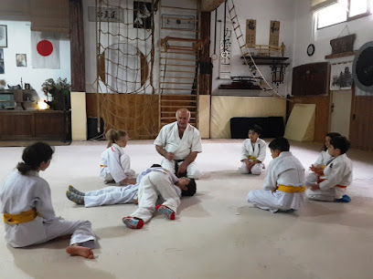 Shibumi Dojo