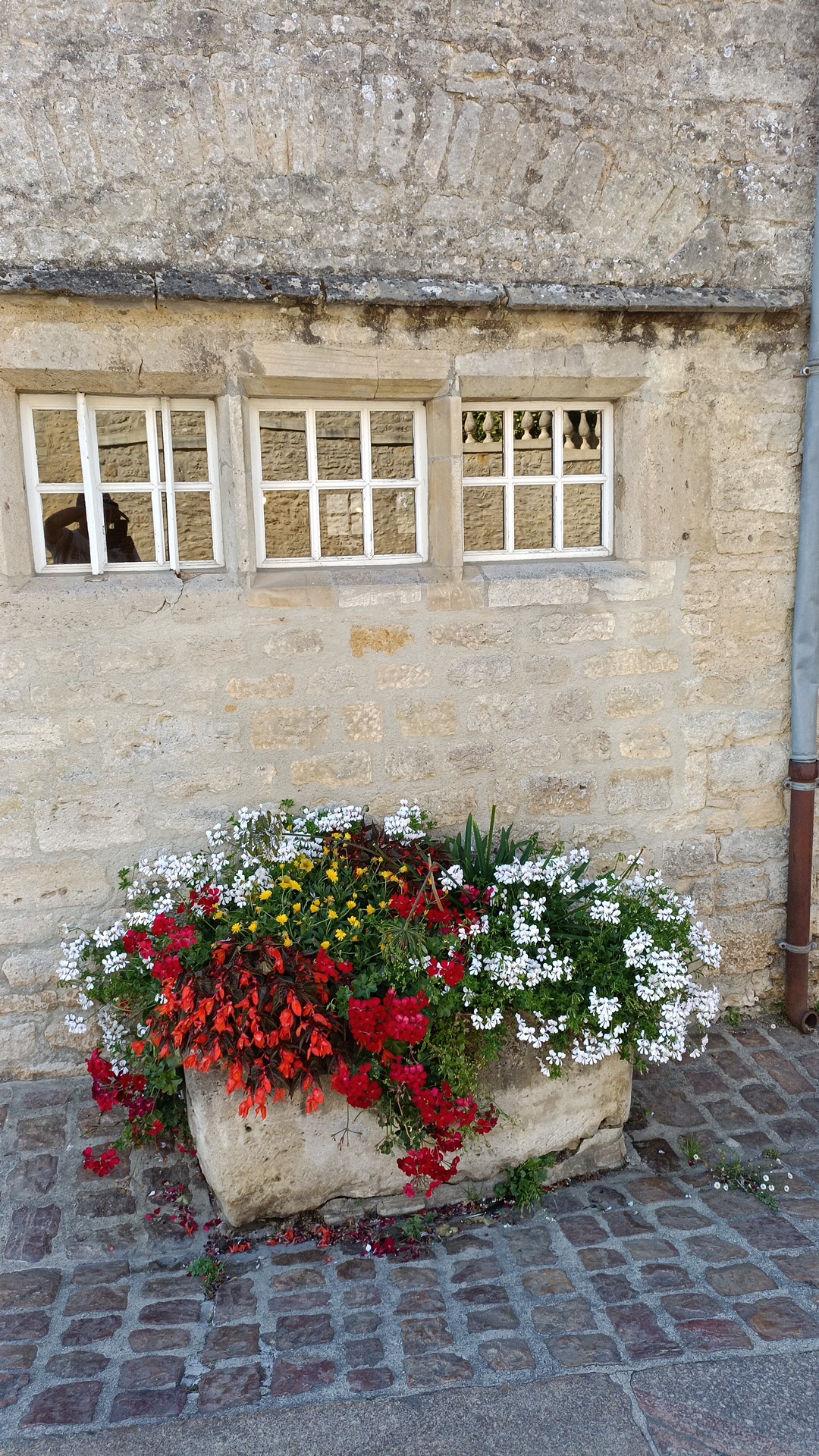 Photo n° 9 de l'avis de Jorge.e fait le 10/08/2022 à 15:52