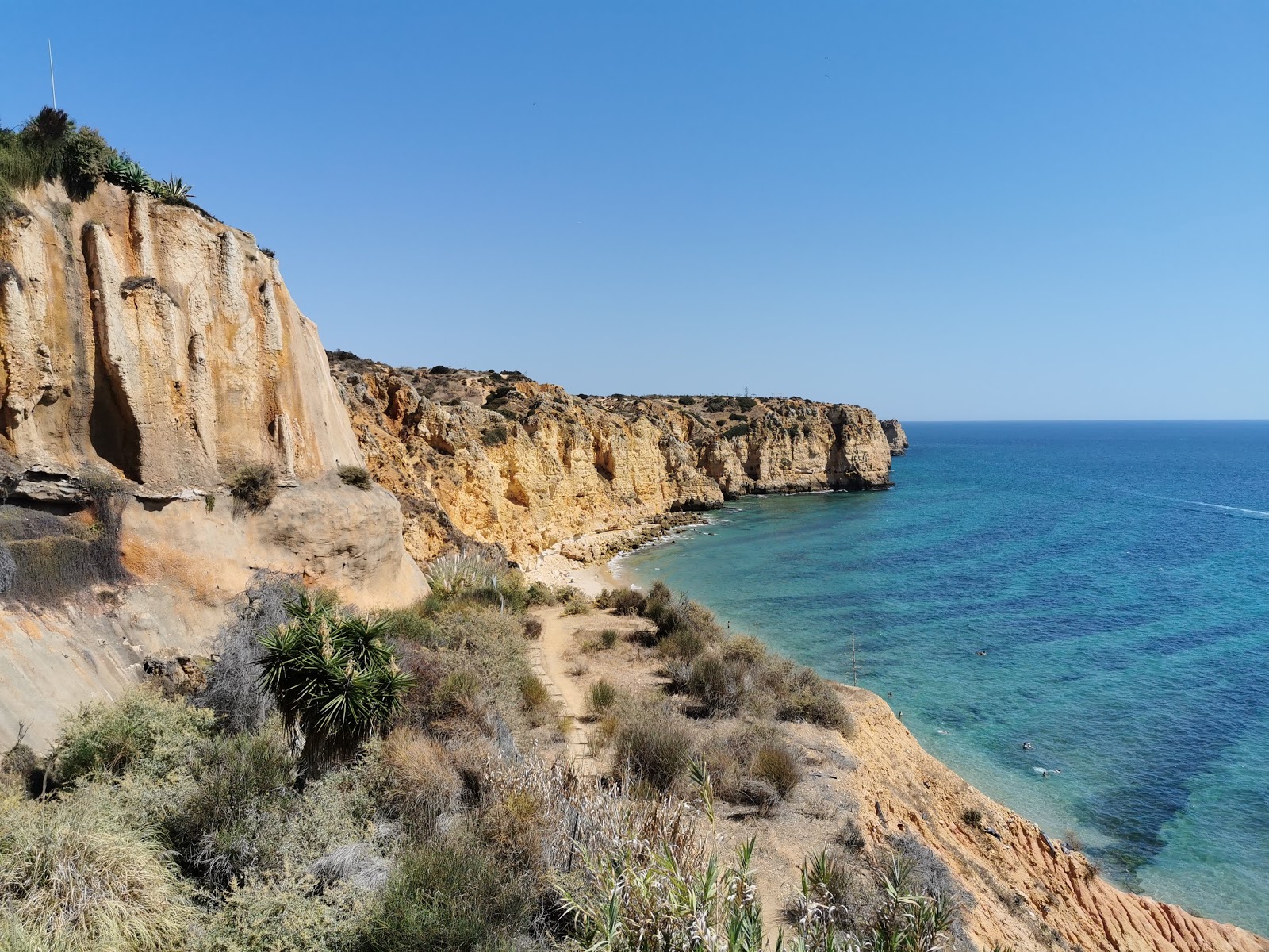 Foto van Praia do Canavial wilde omgeving