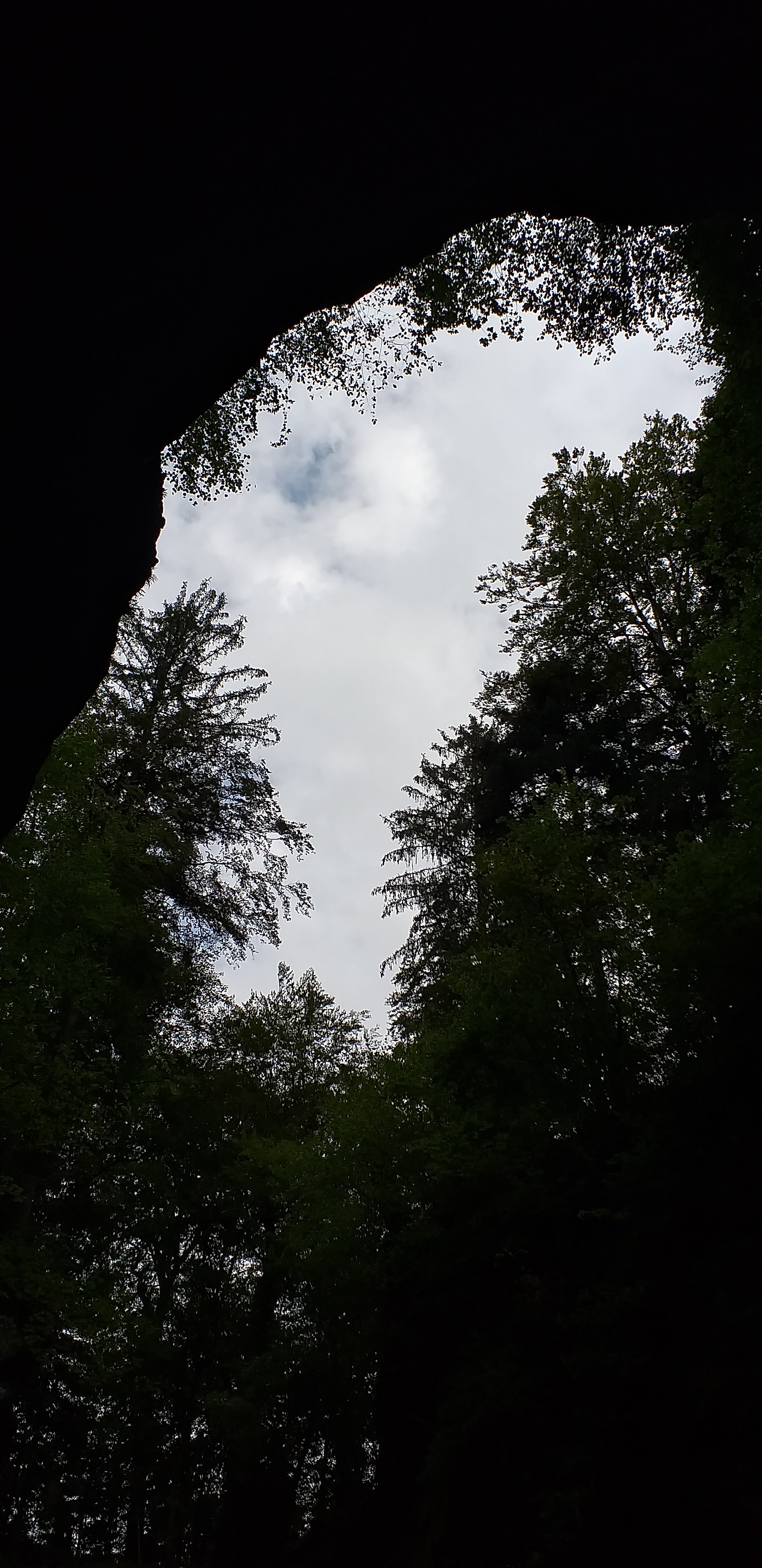 Photo n° 24 de l'avis de David.a fait le 06/09/2020 à 16:25