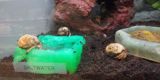 Pet Supply Store «Petco Animal Supplies», reviews and photos, 1298 W Granada Blvd #100, Ormond Beach, FL 32174, USA