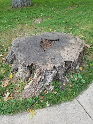 National Park «Shenandoah National Park», reviews and photos