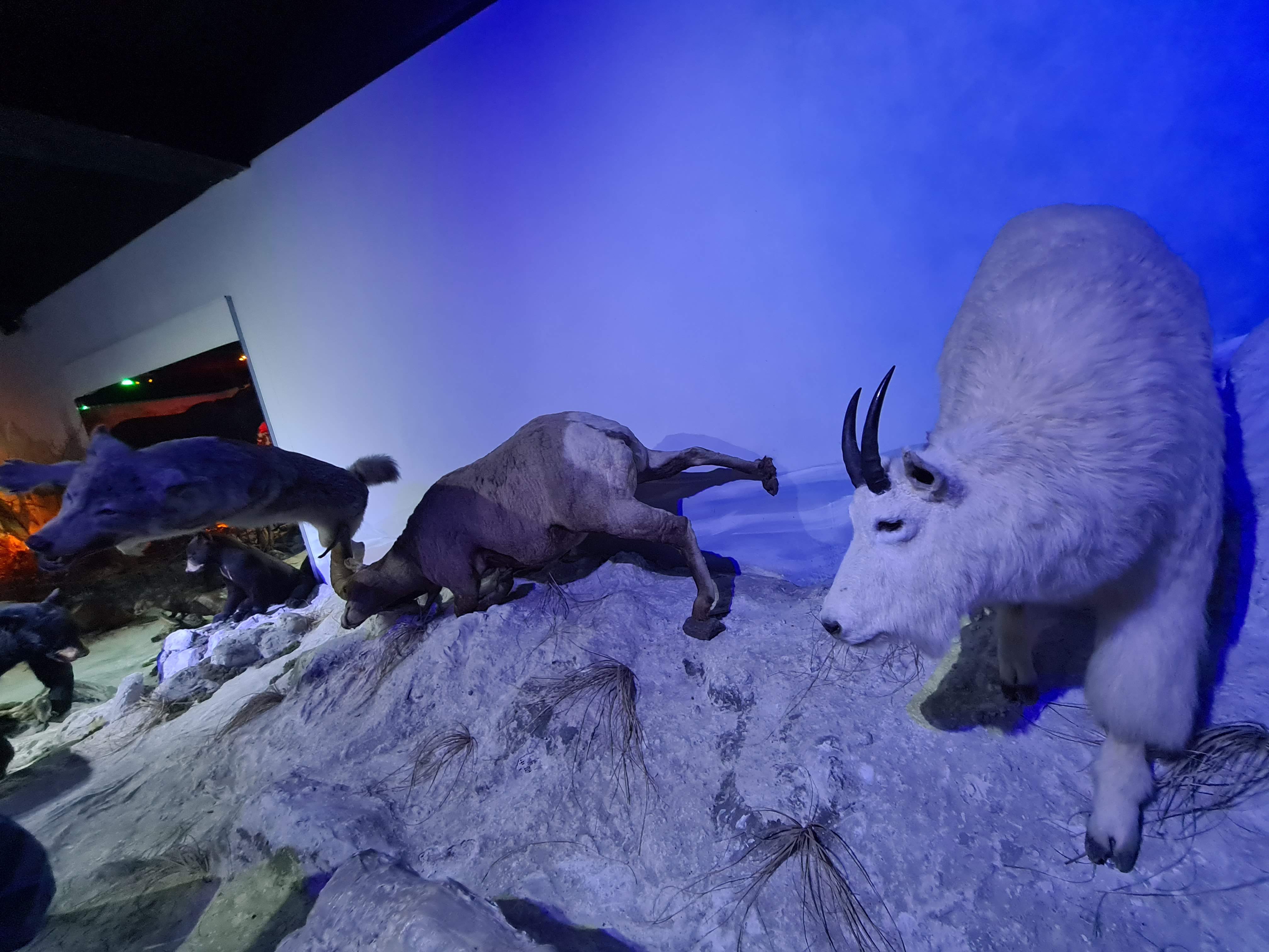 Photo n° 5 de l'avis de Antoine.u fait le 02/08/2023 à 07:13