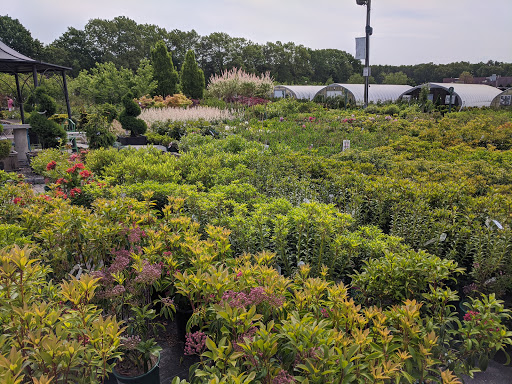 Garden Center «Sixteen Acres Garden Center», reviews and photos, 1359 Wilbraham Rd, Springfield, MA 01119, USA
