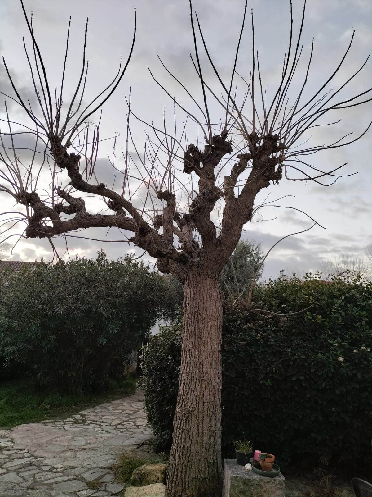 Photo n° 4 de l'avis de Stéphanie.O fait le 06/03/2023 à 15:05