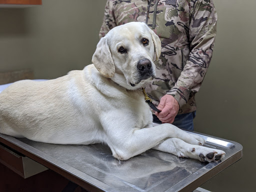 Veterinarian «Animal Medical Clinic», reviews and photos, 100 Thalweg Dr, Vicksburg, MS 39183, USA