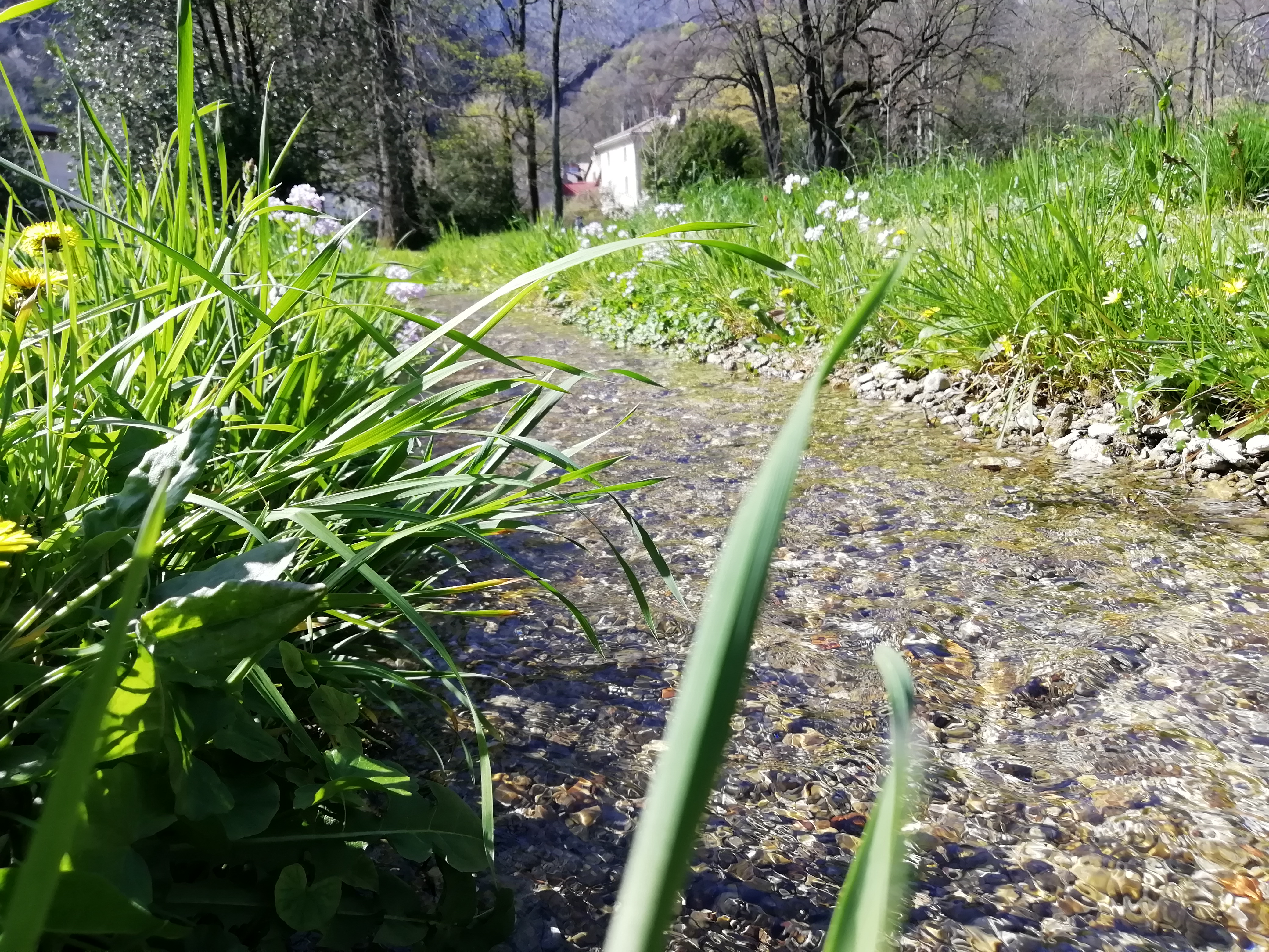 Photo n° 5 de l'avis de Muriel.c fait le 14/05/2021 à 17:25